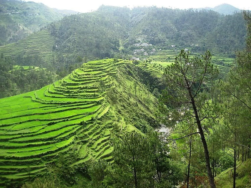 Day 3 : Mussoorie - Ranikhet  (340 kms / 8-9 hrs)